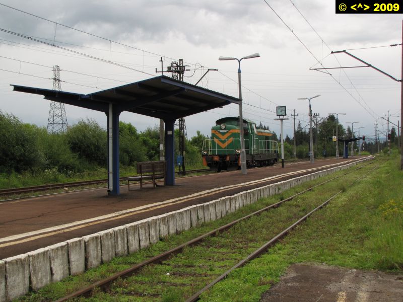 D0002333.jpg